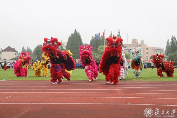 黑白体育赛事资讯平台